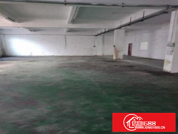 清溪镇铁松刷绿色地坪漆厂房出生650平带办公室