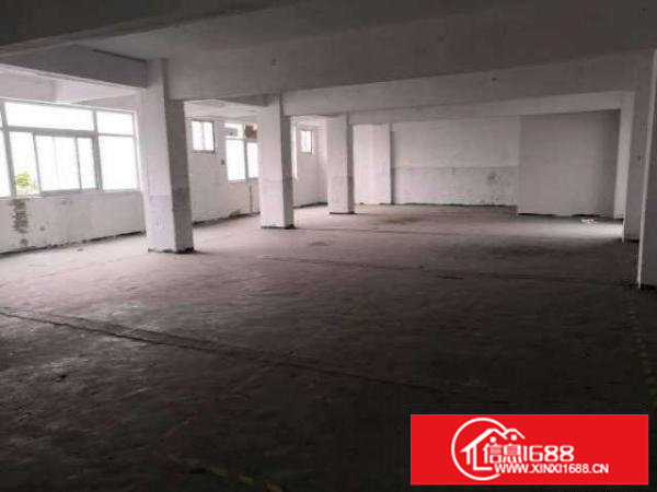 （出租）观澜牛湖工业区独门独院标准钢构2千平10租整租