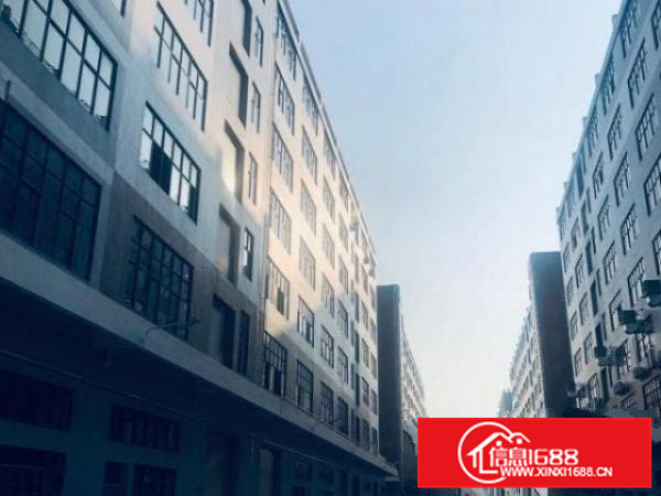 全新厂房，带消防喷淋、全新客货梯