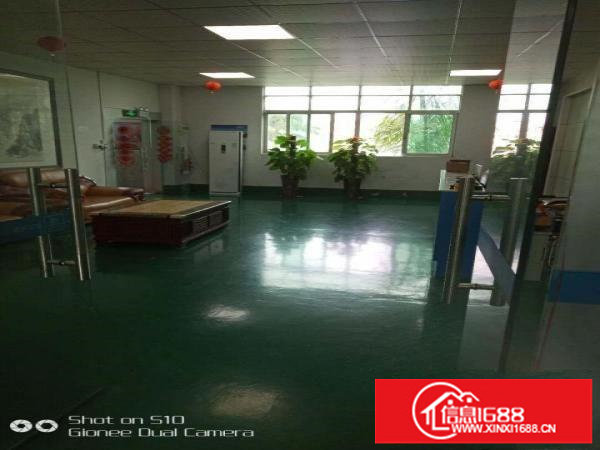 坪山碧岭新出现成办公室展厅出租