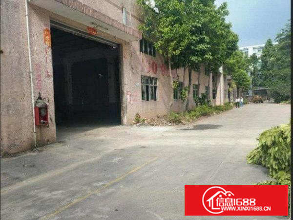 急租塘厦清湖头钢构4800平方高8米厂房出租