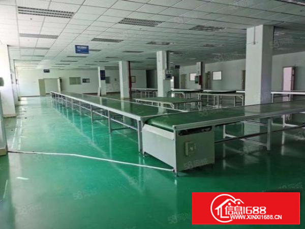 长安兴发南路精装修厂房2500平米出租，无需转让费，照片实拍