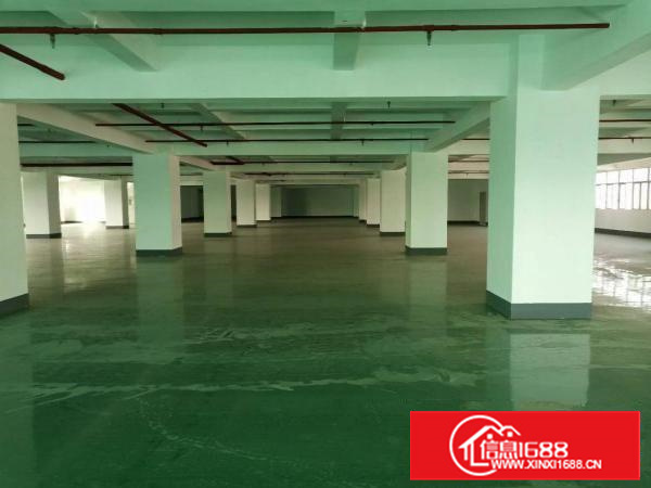 长安镇沙头全新装修厂房5楼2600平方超低价出租，无公摊