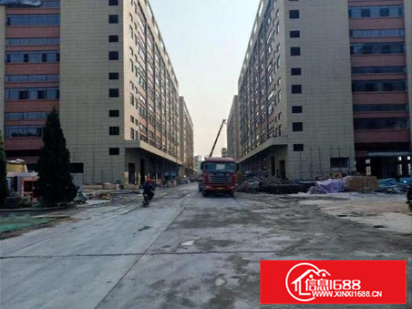 桥头镇新出独院厂房一楼8米高