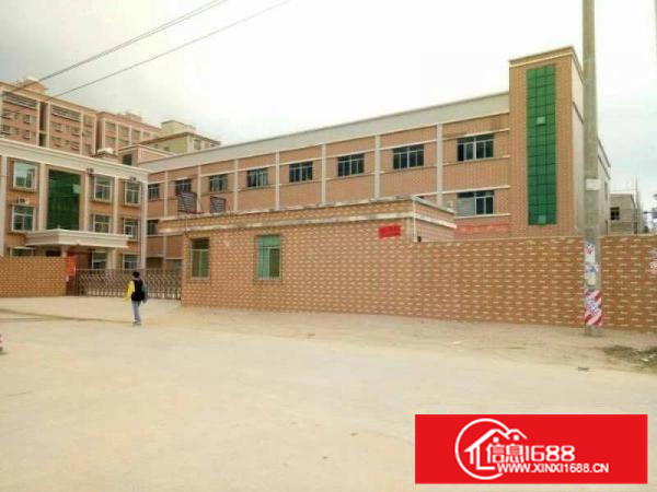 惠阳新圩新出标准独院厂房8000平米平价出租