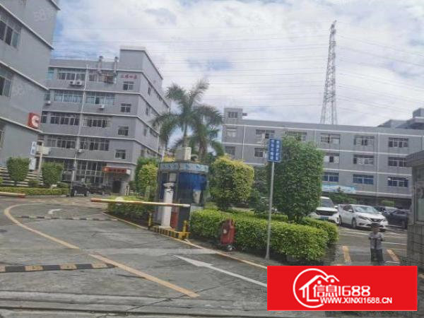 石岩料坑带装修620平不要转让费厂房出租