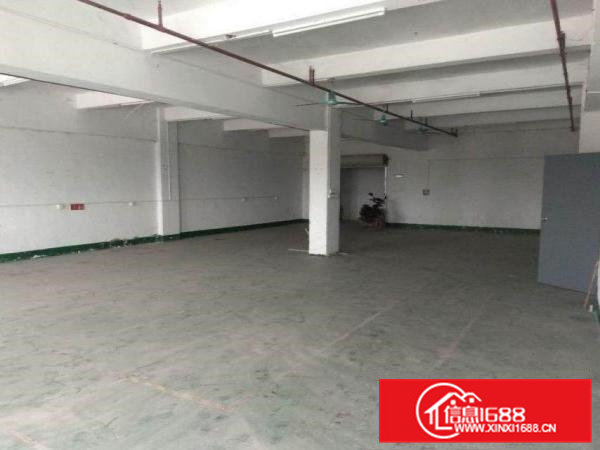 油甘埔分租原房东标准厂房三楼1000平方，无公摊无杂费