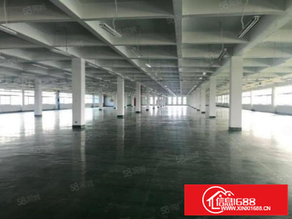 园区管理国家三标，杏坛工业区12000方标准厂房带宿舍饭堂A