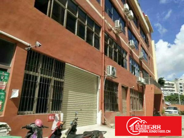 松岗车站附近特价一楼660平，