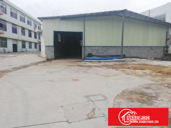 佛新新出全新独院钢构厂房550平米出租空地大