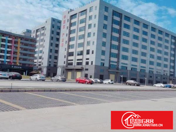 （出租）空地超大的全新建的红本厂房国有工业用地丙二类消防