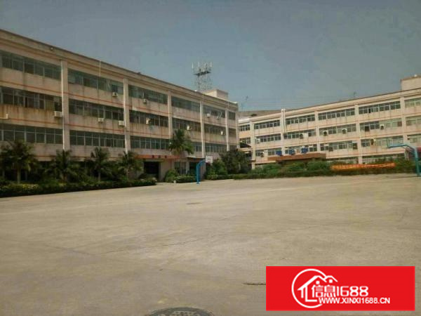 惠阳新圩独院厂房25000平方出租，有红本