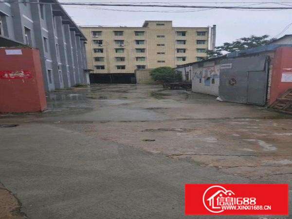 坑梓坪山坑梓金沙厂房招租厂房2800平米可以分租