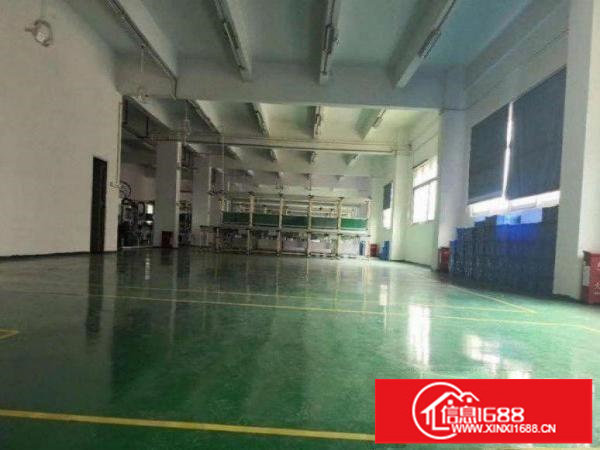 平湖标准楼上一整层1200平带豪华装修出租可分租