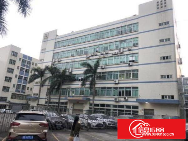 坂田坂雪岗主干道旁原房东1-6层8000平米带红本可分租