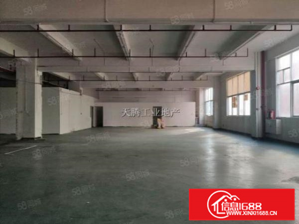 天富来带简易装修650方，直租直接用，省时间省钱