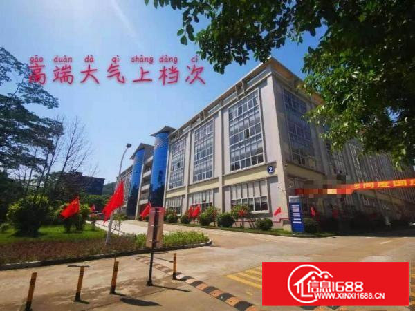 花园式厂房，免租6个月。特价招租