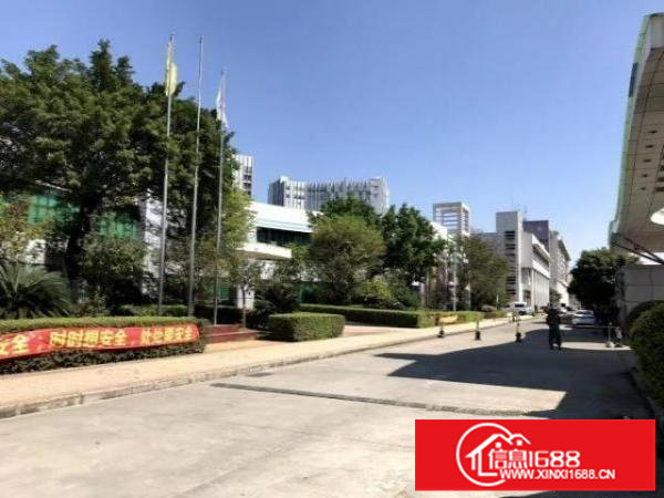 光明大型园区500平起租，现成格局，带装修