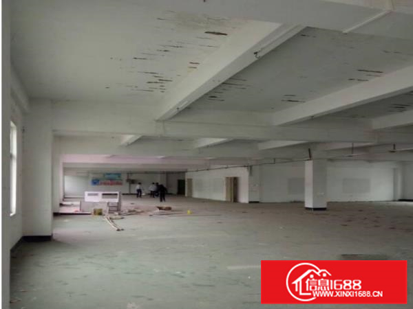 惠阳新圩新出标准厂房面积1000平米有消防喷淋