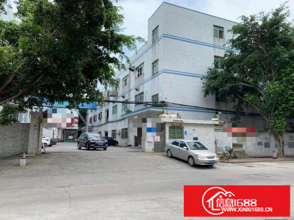 安良五村二三楼厂房，各1200平方，带装修，可分租