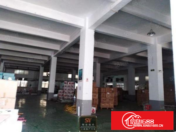 带房产证,不拆迁,不改造,大路边,大良2700方标准厂房出租