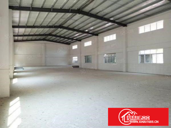 东部工业区常平新建单一层厂房高7米交通便利工业用地