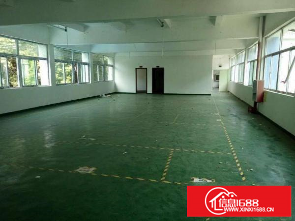 观澜独院2300平米出租