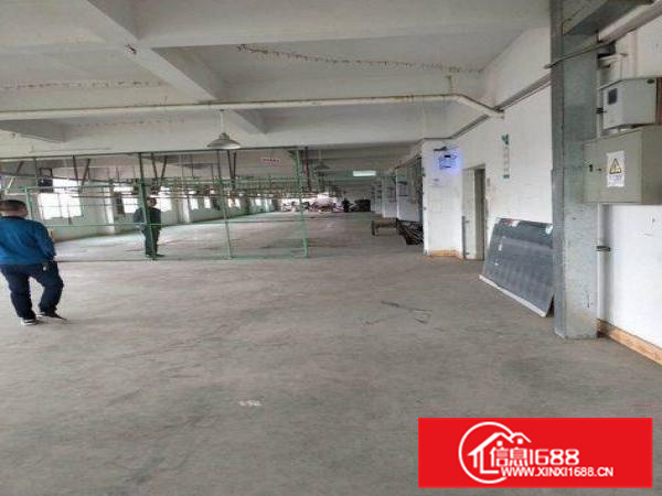 惠阳新墟原房东楼上一整层2200平米带装修可分租