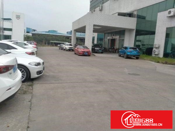 大朗原房东独院钢构厂房9200平方出租可办环评可分租