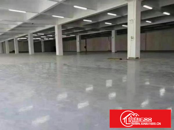 长安上沙新出楼上4900平方