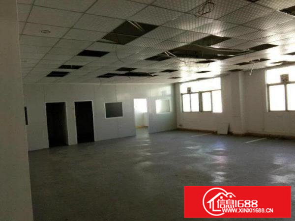 龙岗原房东10000平方独院厂房可分租