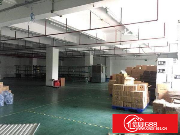 坂田上雪科技园800平方带装修厂房出租，可分租