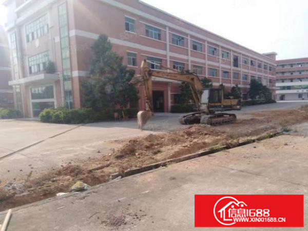 横沥镇工业集中区原房东独门独院标准厂房证件齐全能办环评