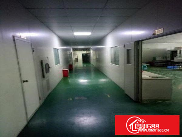 凤岗竹塘独院厂房出租