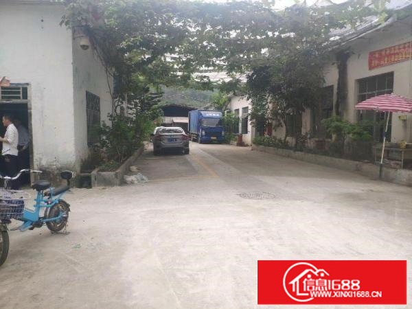 龙岗坪地中心村标准厂房一楼450平有办公室