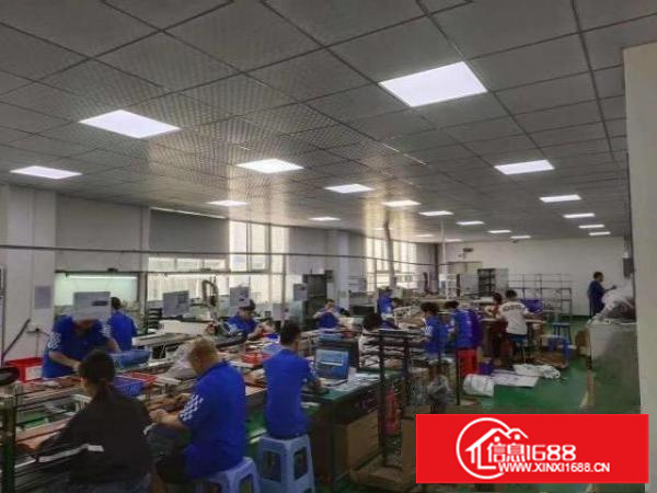 应人石2楼1000平出租，可以分组一半