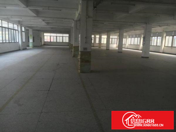 业主独门独院6600平方整栋出租可分租