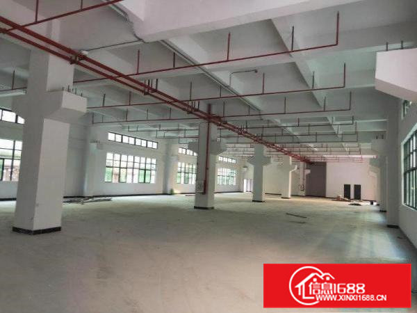 凤岗一二楼每层1600平方厂房出租