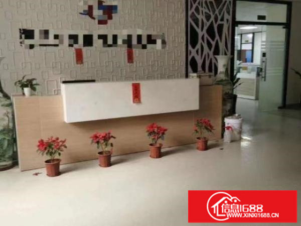 龙华大浪新出精装修厂房820平，物业直租