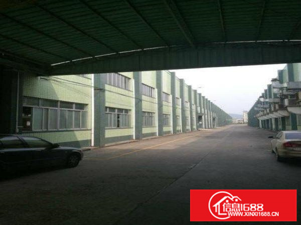 镇隆十米高钢构七万平方业主急租可分租