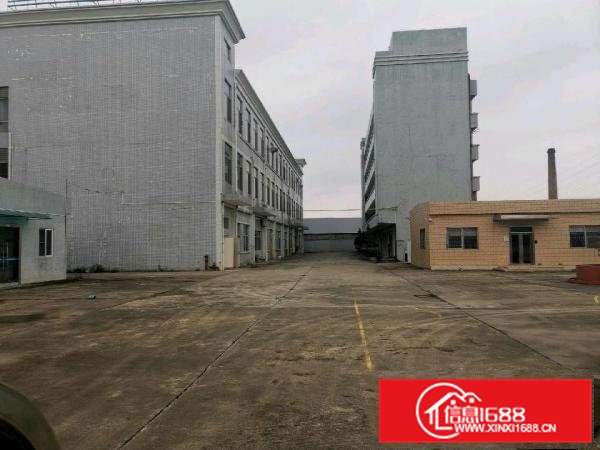 桥头镇原房东标准独院厂房出租