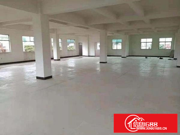 位置很靓大朗新马莲新出二楼280平方厂房带办公室装修