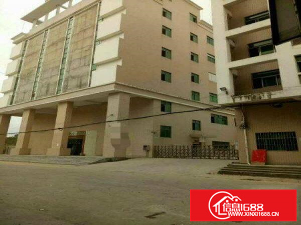 惠阳原房东独院5400平方租12元