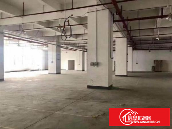 茶山下朗村原房东分租一楼1200平无公摊