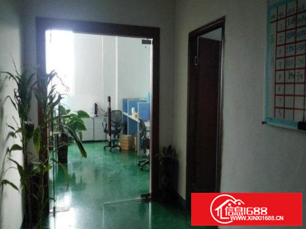 梅观高速出口花园式厂房1250平带精装修