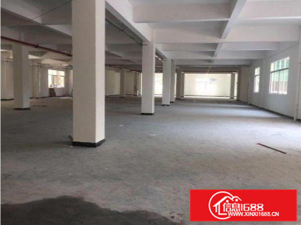 横沥隔坑一楼厂房2500平米出租