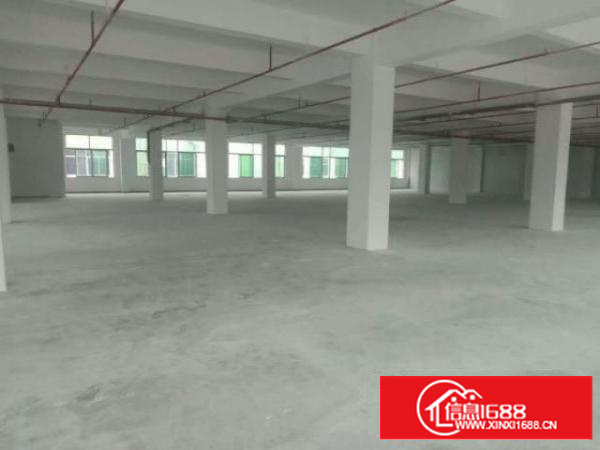 高埗标准厂房出租单一楼500-3000平方米出租首层高度5米