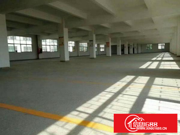 惠阳镇隆独院4800平米3层厂房出租可做污染