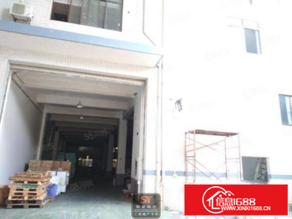 带房产证,不拆迁,不改造,大路边,大良2700方标准厂房出租