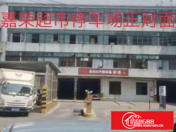 厂房招租出租高埗镇高埗城区